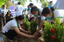 Kiên Giang triển khai hoạt động vì môi trường, phục hồi hệ sinh thái