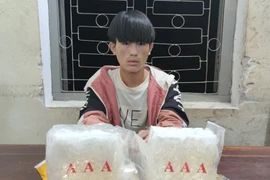 Điện Biên: Phá thành công chuyên án, bắt 1 đối tượng thu 2kg ma túy đá