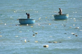 Quảng Ngãi: Một ngư dân mất tích khi đang câu mực trên biển