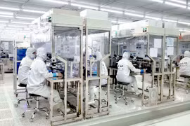 Đầu tư của Việt Nam ra nước ngoài tăng 74% trong 8 tháng năm 2021