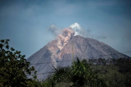 Núi lửa Semeru tại Indonesia phun trào cột tro bụi cao tới 2km