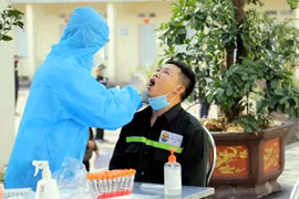Nghệ An: Nam sinh viên đại học FPT về quê không khai báo 