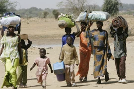 Hàng nghìn người Cameroon tràn sang Cộng hòa Chad tránh xung đột