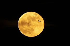 [Photo] Tổng hợp các sự kiện quốc tế nổi bật trong tuần qua ảnh