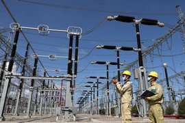 Việt Nam cần tránh đi vào "vết xe đổ" khủng hoảng năng lượng