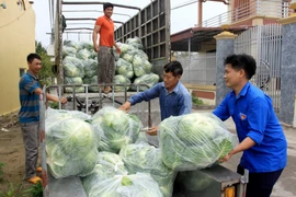 Doanh nghiệp vận tải chung tay hỗ trợ các địa phương tiêu thụ nông sản
