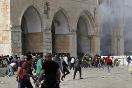 Việt Nam hoan nghênh nỗ lực thúc đẩy tiến trình hòa bình Trung Đông