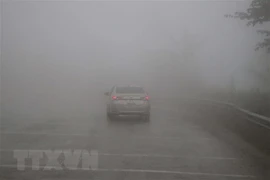 Đêm 31/1 và sáng 1/2, Thủ đô Hà Nội có mưa nhỏ rải rác, trời rét