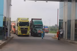 Thông tin gấp với doanh nghiệp xuất khẩu thực phẩm vào Trung Quốc