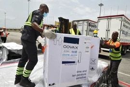 COVAX dự kiến có thêm 250 triệu liều vaccine trong những tuần tới