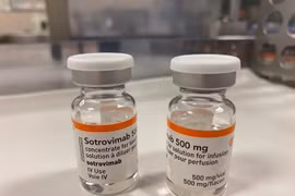 EU đặt mua 220.000 liệu trình điều trị COVID-19 của GlaxoSmithKline