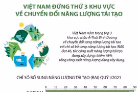 Việt Nam xếp thứ 3 khu vực châu Á-TBD về chuyển đổi năng lượng tái tạo
