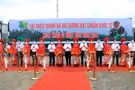 Hải Dương xuất khẩu những tấn vải thiều đầu tiên trong năm 2021