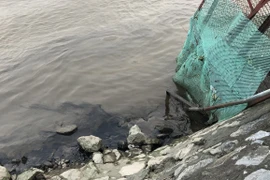 Ninh Bình: Dầu thải đe dọa nguồn nước sạch của 12.000 hộ dân