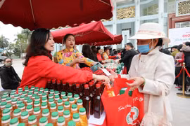 Hội Chữ thập Đỏ phát động “Xuân no ấm, Tết bình an” vì người nghèo