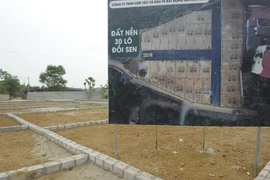 Hà Nội chưa có quy hoạch thật nhưng đất đã "sốt" do "cò thổi giá"