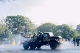 Bình Dương tập trung dập dịch, dừng bắn pháo hoa dịp Tết Nguyên đán