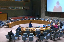 Hội đồng Bảo an Liên hợp quốc họp bàn về vấn đề hạt nhân Iran