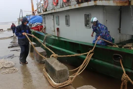 Quảng Trị, Phú Yên chủ động ứng phó với diễn biến áp thấp nhiệt đới