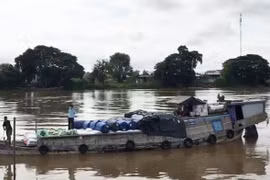 An Giang: Tạm giữ hơn 62 tấn hóa chất và bột đá không rõ nguồn gốc