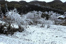 Bắc Bộ và Trung Bộ mưa rét 2 ngày cuối tuần, nhiệt độ từ 10-13 độ C