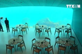 [Video] Kỳ thú nhà hàng nằm lơ lửng ở độ sâu 30m trong nước biển