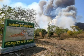 Khói bay lên không trung sau khi đám cháy bùng phát tại Khu bảo tồn hổ Bandipur ở Karnataka ngày 23/2. (Nguồn: PTI)