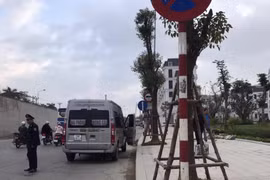 Tái diễn tình trạng 'xe dù, bến cóc' trên tuyến Hải Phòng-Quảng Ninh