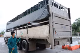 Phun khử trùng xe chở lợn. (Ảnh: Đức Hạnh/TTXVN)