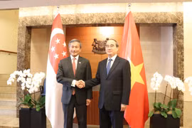 Ngoại trưởng Singapore Vivian Balakrishnan tiếp đồng chí Nguyễn Thiện Nhân, Ủy viên Bộ Chính trị, Bí thư Thành ủy Thành phố Hồ Chí Minh. (Ảnh: Anh Tuấn/TTXVN)