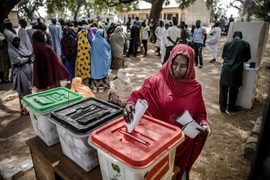 Cử tri Nigeria bỏ phiếu tại một địa điểm bầu cử ở Jimeta, bang Adamawa, ngày 23/2. (Ảnh: AFP/TTXVN)