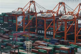 Các tàu hàng cập cảng container ở Tokyo, Nhật Bản ngày 19/2/2018. (Ảnh: AFP/TTXVN)