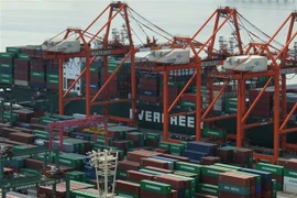 Các tàu hàng cập cảng container ở Tokyo, Nhật Bản ngày 19/2/2018. (Ảnh: AFP/TTXVN)