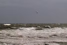 Bão Dorian có thể gây sóng cao tới 2,1 mét tại một số khu vực ở bờ biển Carolina. (Nguồn: AFP/TTXVN)