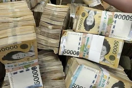 Hàn Quốc sẽ hỗ trợ tài chính cho các công ty vật liệu trong nước. (Nguồn: Yonhap)