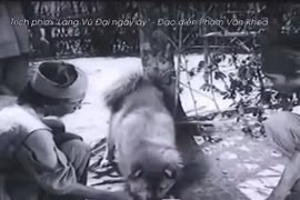 [Video] Tranh cãi việc chọn diễn viên cho vai diễn 'cậu Vàng'