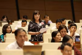 Đại biểu Quốc hội thành phố Đà Nẵng Võ Thị Như Hoa phát biểu. (Ảnh: Phương Hoa/TTXVN)