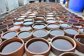 Việc lấy tiêu chuẩn nước mắm công nghiệp áp cả cho nước mắm truyền thống khiến dư luận không đồng tình. (Ảnh: Công Luật/TTXVN)