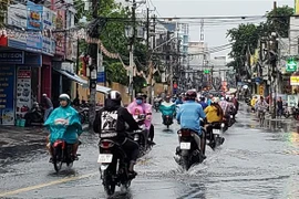 Ảnh minh họa. (Nguồn: Xuân Dự/TTXVN)