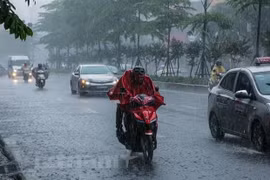 Các tỉnh Bắc Bộ và Bắc Trung Bộ sẽ có mưa to đến rất to. (Ảnh: Lê Minh Sơn/Vietnam+)