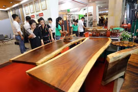 Khách tham quan triển lãm. (Ảnh: Danh Lam/TTXVN)