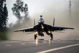 Máy bay chiến đấu MiG-29. (Nguồn: TTXVN phát)