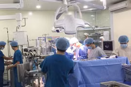 Ảnh minh họa. (Nguồn: TTXVN)