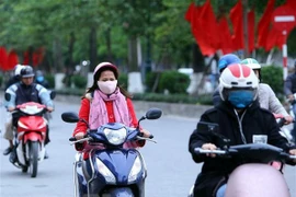 Ảnh minh họa. (Ảnh: Danh Lam/TTXVN)