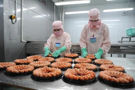 Chế biến tôm xuất khẩu. (Ảnh: Thế Anh/TTXVN)