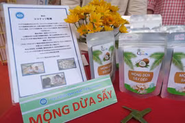 Sản phẩm “Mộng dừa sấy dẻo” độc nhất vô nhị giúp đa dạng hóa sản phẩm chủ lực của Bến Tre, gia tăng thu nhập trong chuỗi cung ứng thành phẩm từ dừa. (Ảnh: Ánh Tuyết/TTXVN)