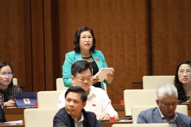 Đại biểu Quốc hội tỉnh Bắc Kạn Phương Thị Thanh phát biểu. (Ảnh: Văn Điệp/TTXVN)