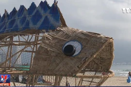 [Video] Cá bống khổng lồ 'ăn' rác nhựa trên bãi biển Đà Nẵng