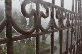 Băng giá xuất hiện tại đỉnh núi Mẫu Sơn. (Ảnh: Quang Duy/TTXVN)