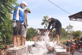 Chuẩn bị đưa lợn bệnh đi tiêu hủy tại tỉnh Đắk Lắk.( Ảnh: Phạm Cường/TTXVN)